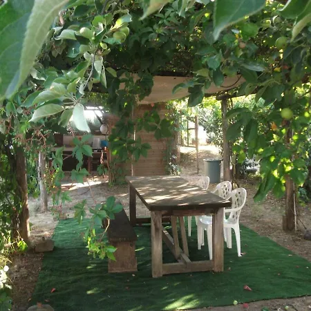 Country House With Pool טרנובה ברצ'וליני